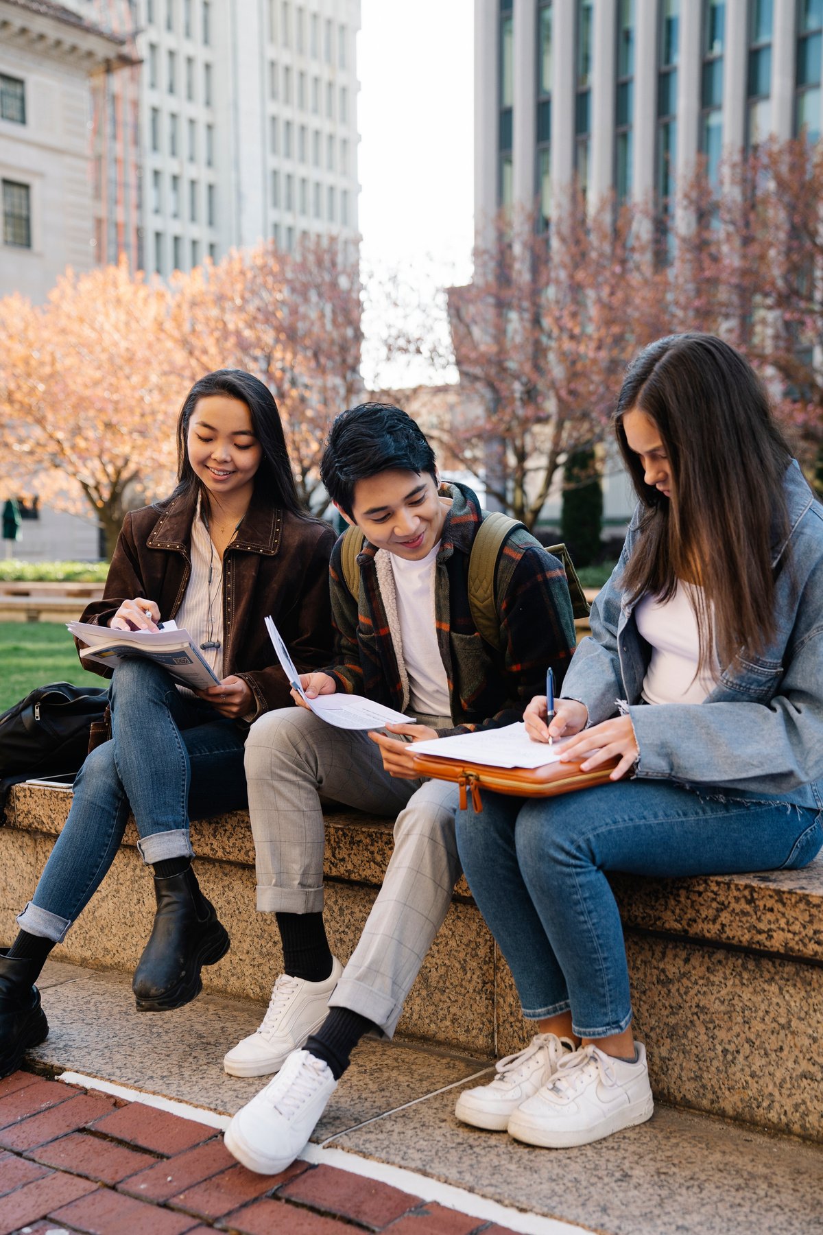 Students studying Together 